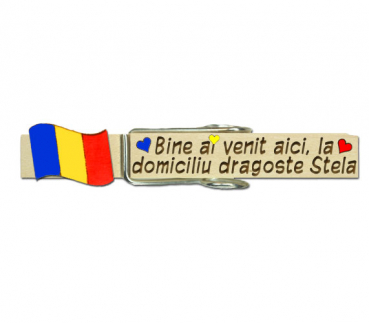 Holzwäscheklammer mit Namen und der handbemalten Fahne Rumäniens