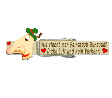 Glupperl mit einer genialen Nase und einem grünen Trachtlerhut