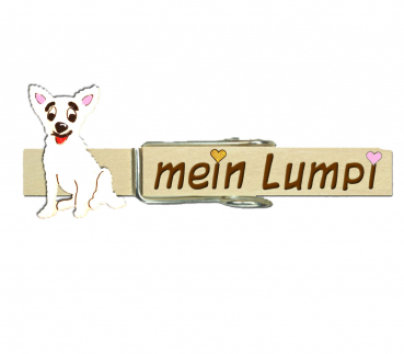 ein handbemaltes Kamel