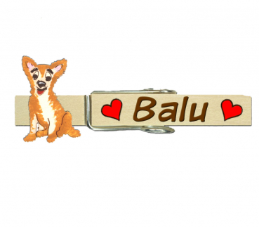 ein handbemaltes Kamel