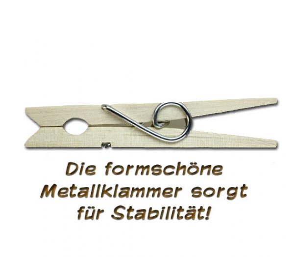 Glupperl mit einem gelben Sombrero auf einem Wüstenkaktus