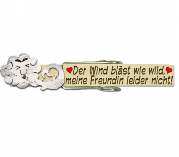 Wäscheklammer mit einer wunderschönen Palme