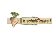 Wäscheklammer mit einer wunderschönen Palme